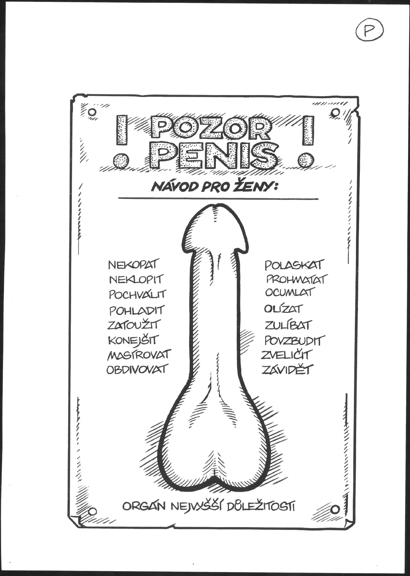 Penis
